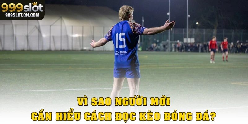 Vì sao người mới cần hiểu cách đọc kèo bóng đá?